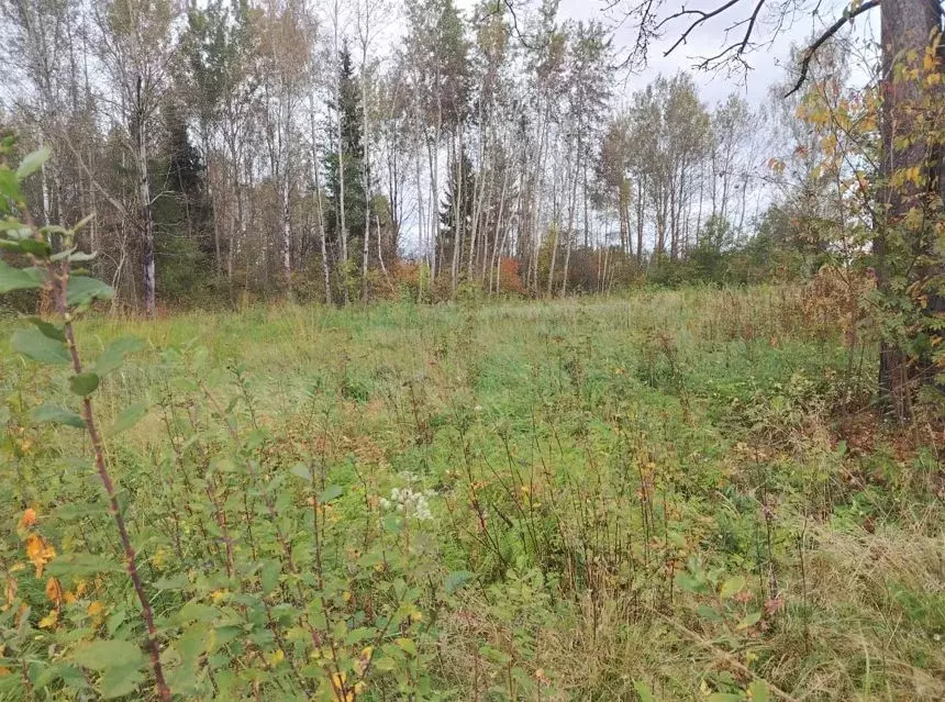 Участок в Московская область, Шатура муниципальный округ, с. Власово  ... - Фото 1