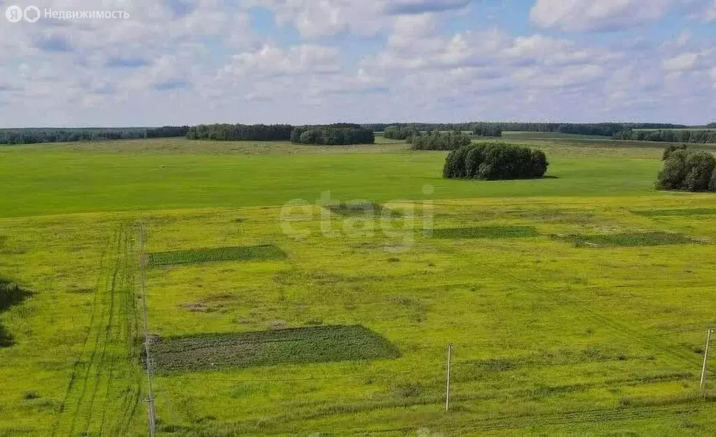 Участок в Исетский район, село Минино (90 м) - Фото 1