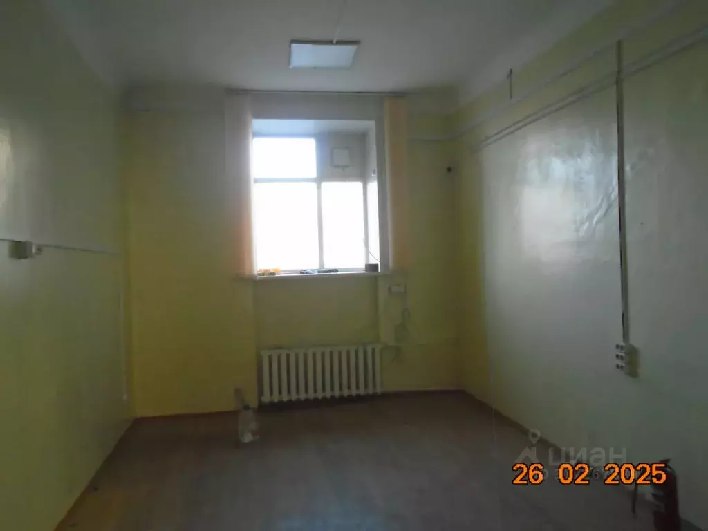 Помещение свободного назначения в Новосибирская область, Новосибирск ... - Фото 1