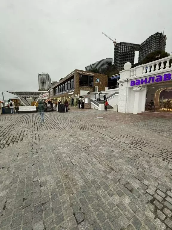 Торговая площадь в Краснодарский край, Сочи Центральный мкр, ул. ... - Фото 2