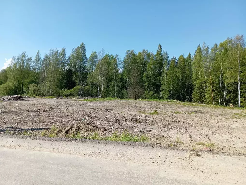 Участок в Ленинградская область, Всеволожский район, Бугровское ... - Фото 0