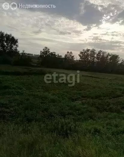 Участок в Красноярский сельсовет, СНТ Каучук (4 м) - Фото 1