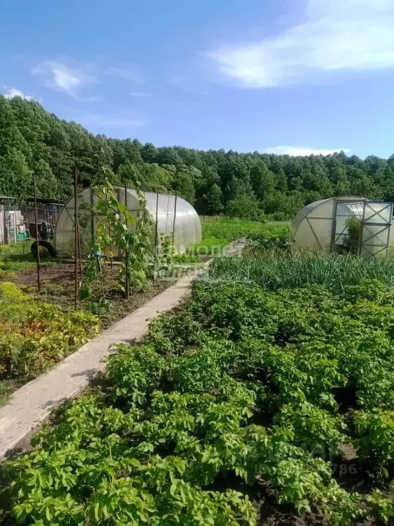 Дом в Белгородская область, Старооскольский городской округ, Игнатовка ... - Фото 1