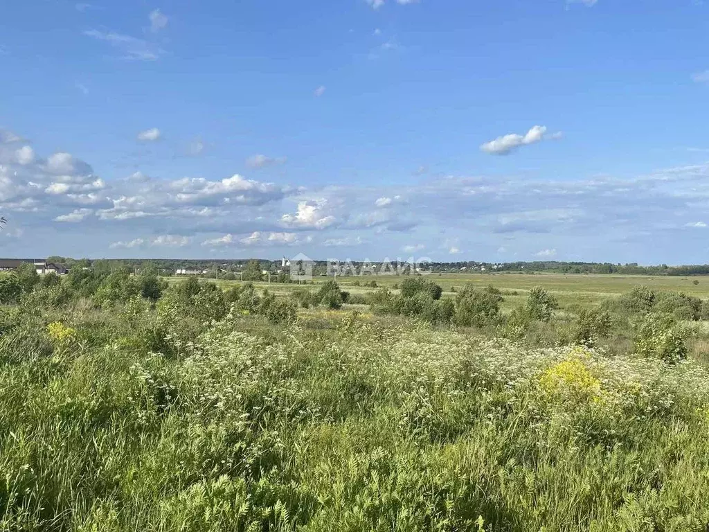 Участок в Владимирская область, Суздальский район, Боголюбовское ... - Фото 0