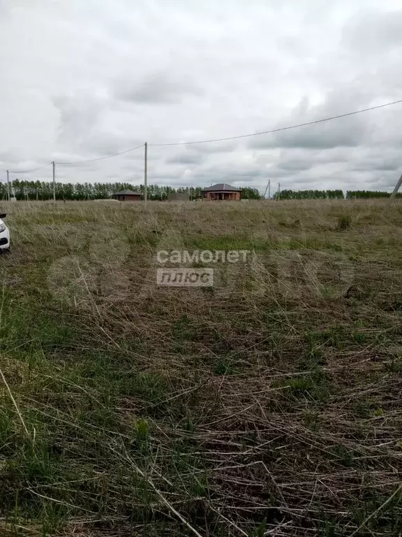 Участок 12 сот. (ИЖС) - Фото 0