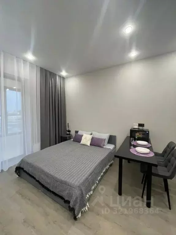 Студия Новосибирская область, Новосибирск Красный просп., 220 (33.0 м) - Фото 0