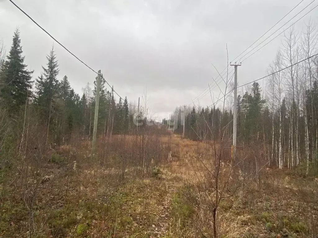 Участок в Ханты-Мансийский АО, Ханты-Мансийск Таволожное урочище,  ... - Фото 0