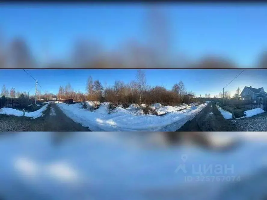 Участок в Московская область, Клин городской округ, д. Дятлово  (8.45 ... - Фото 2