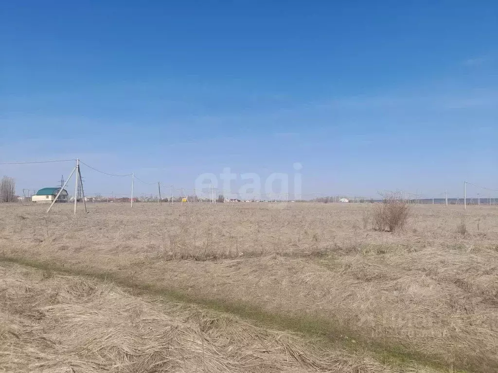 Участок в Саратовская область, Балашовский район, Хоперское ... - Фото 1