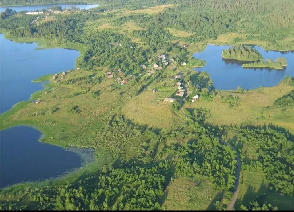 Участок в Новгородская область, Любытинское с/пос, д. Брод  (15.0 ... - Фото 1