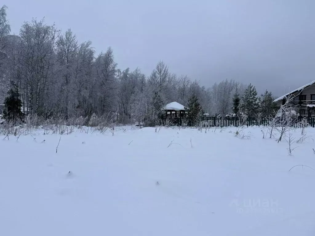 Участок в Ленинградская область, Всеволожский район, Лесколовское ... - Фото 2