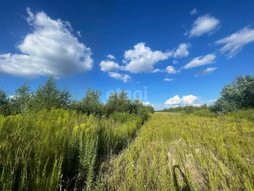 Участок в Нижегородская область, Кстовский муниципальный округ, с. ... - Фото 0