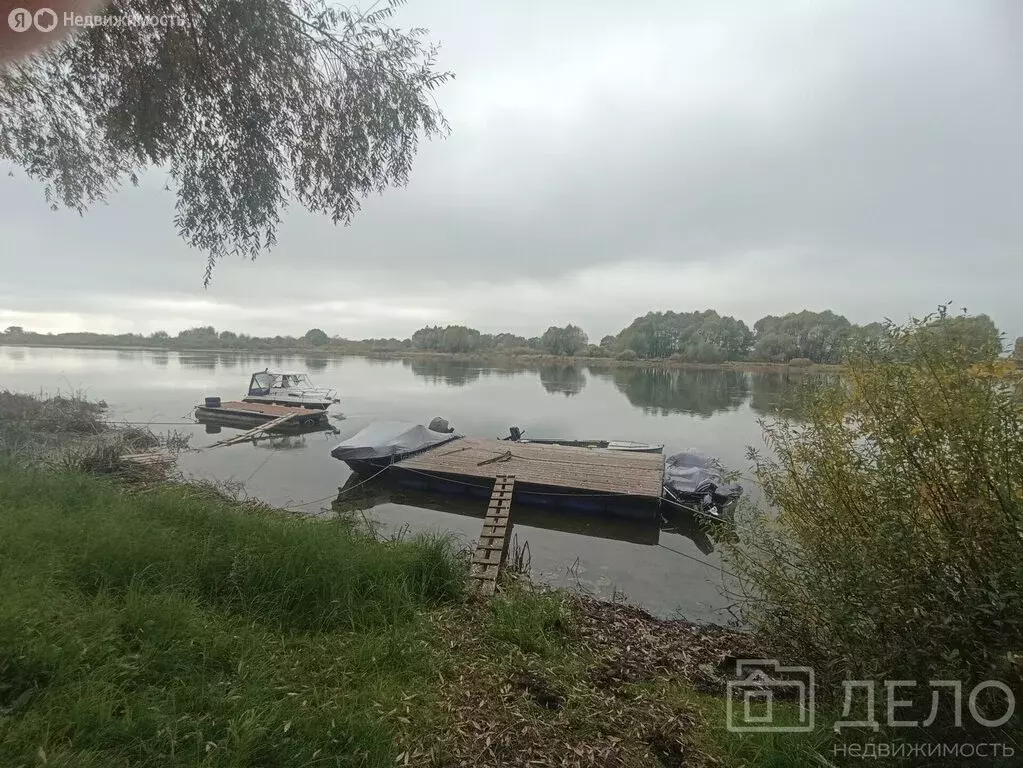 Участок в Рязанская область, Спасский муниципальный округ, посёлок ... - Фото 1