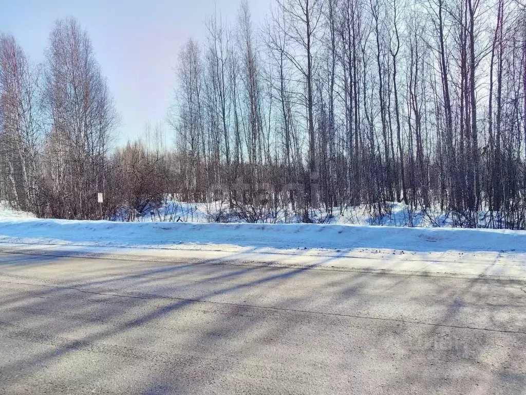 Участок в Тюменская область, Нижнетавдинский муниципальный округ, ... - Фото 1