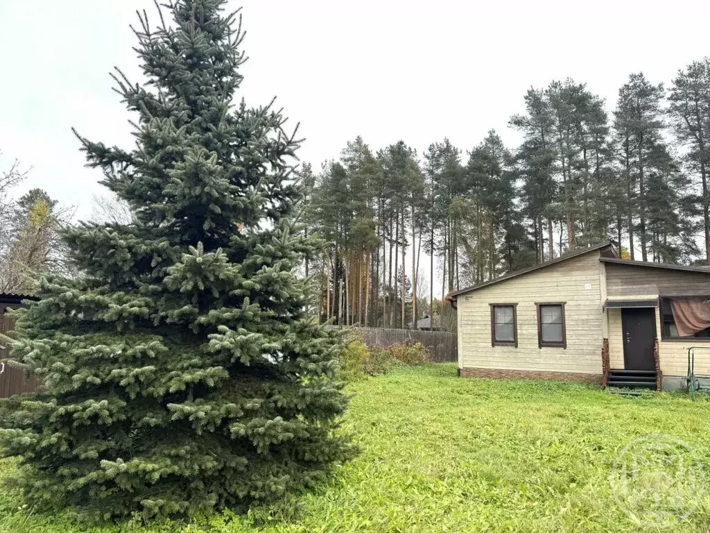 Дом в Вырица, Елизаветинская улица (90.4 м) - Фото 1