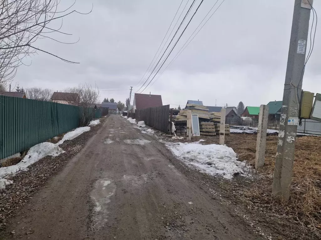 Участок в Новосибирская область, Новосибирский район, Мичуринский ... - Фото 2