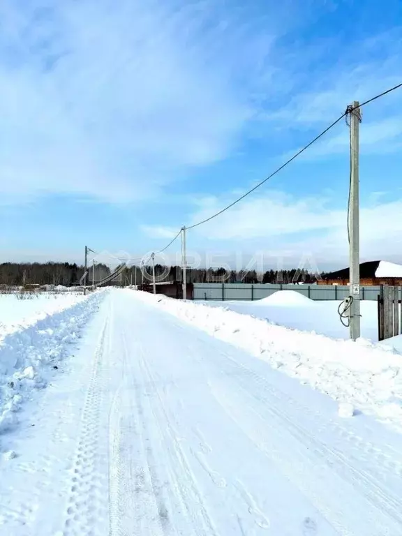 Участок в Тюменская область, Нижнетавдинский район, с. Тюнево  (10.0 ... - Фото 1