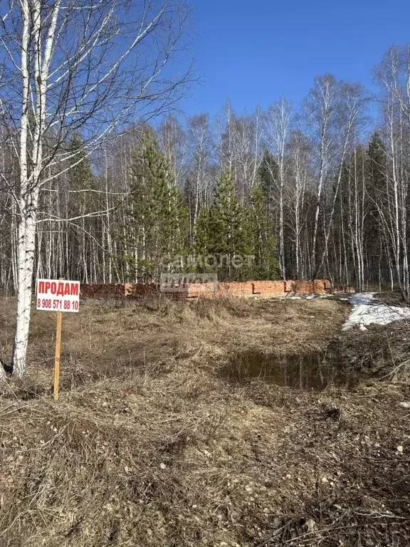 Участок в Челябинская область, Сосновский муниципальный округ, ... - Фото 1