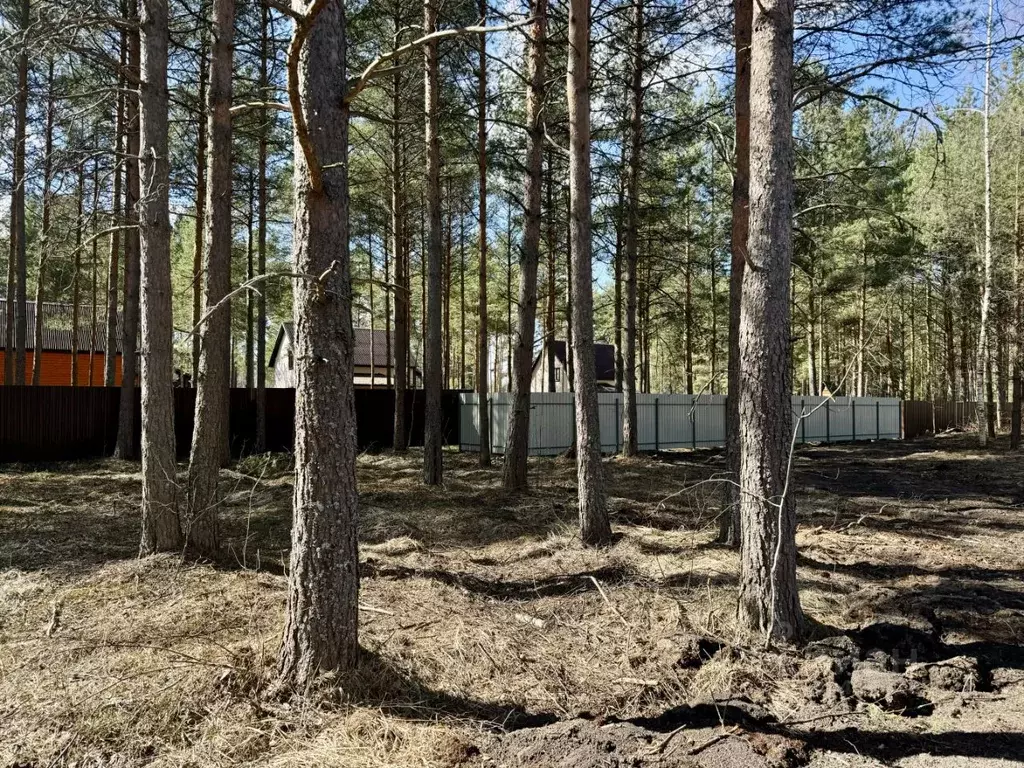 Участок в Ярославская область, Переславль-Залесский городской округ, ... - Фото 1