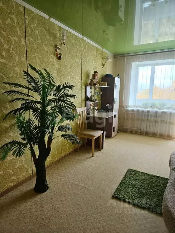 2-к кв. Хабаровский край, Николаевск-на-Амуре ул. Орлова, 5 (43.1 м) - Фото 0