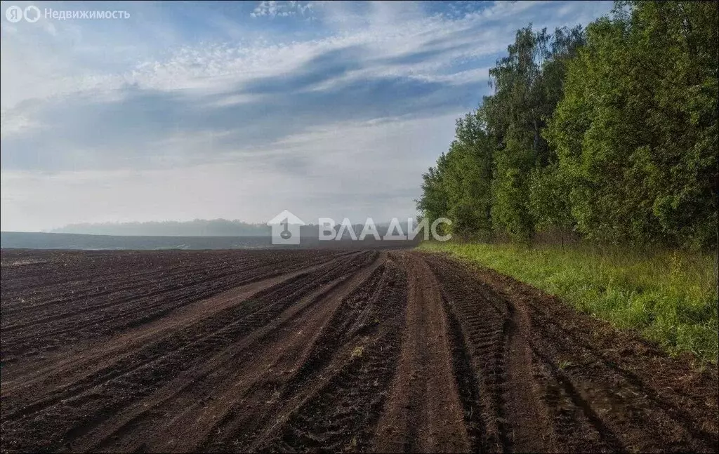 Участок в Белинский район, деревня Кузьминовка, Лесная улица (3711.44 ... - Фото 0