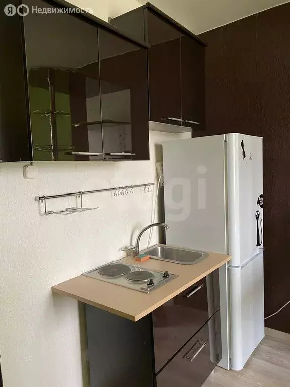 Квартира-студия: село Богашёво, улица Новостройка, 19Б/2 (22.8 м) - Фото 1