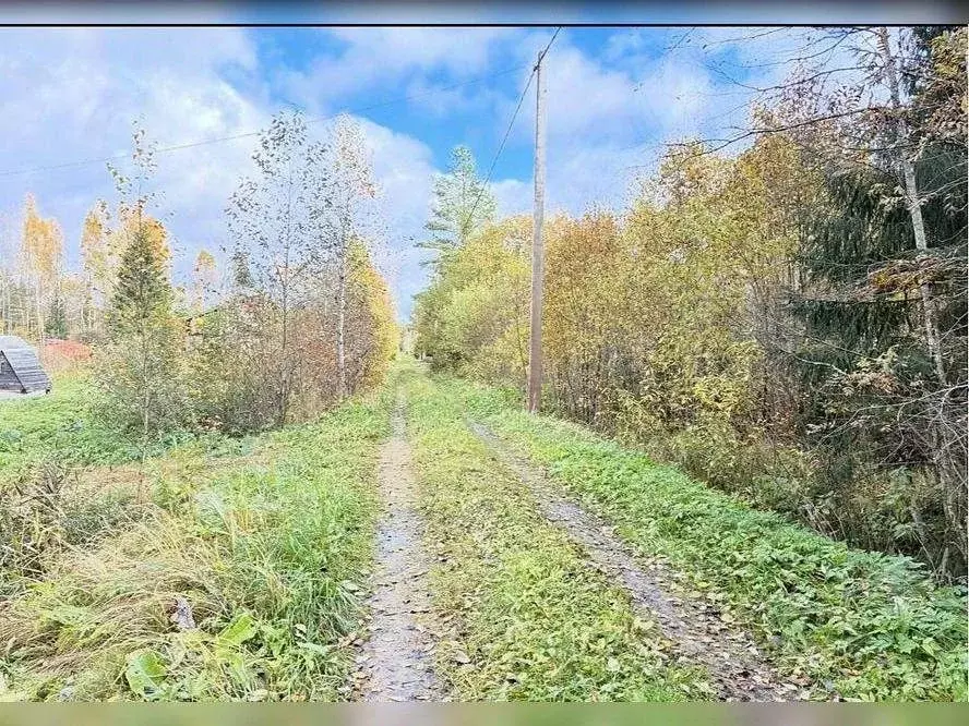 Участок в Ленинградская область, Тосненский район, Лисинское с/пос, ... - Фото 2