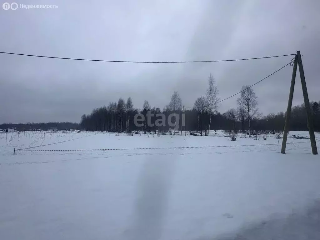 Участок в Кондопожский район, Кончезерское сельское поселение, деревня ... - Фото 1