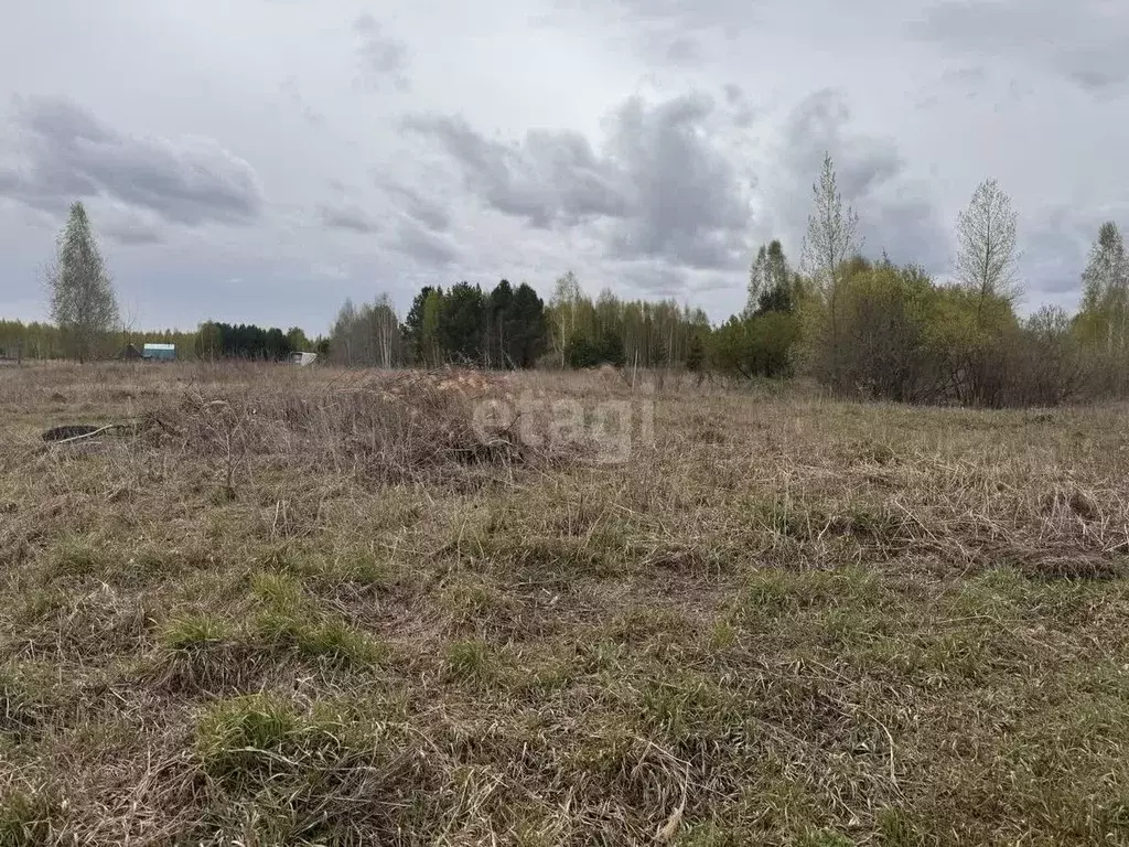 Участок в Тюменская область, Тюменский район, Янтарное ДНТ ул. ... - Фото 1