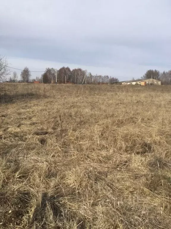 Участок в Московская область, Серебряные Пруды пгт ул. Свободная (12.0 ... - Фото 0
