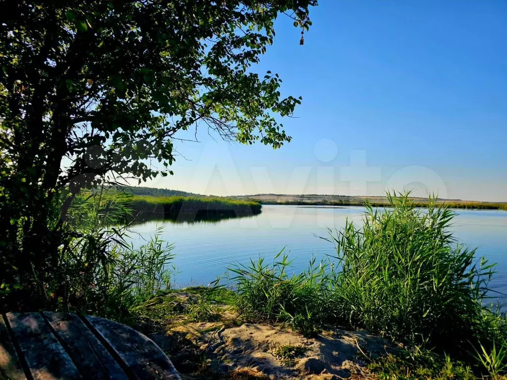 Участок 8 сот. (СНТ, ДНП) - Фото 0