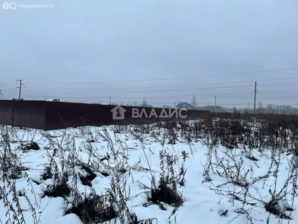 Участок в городской округ Нижний Новгород, деревня Подвалиха (16.92 м) - Фото 2