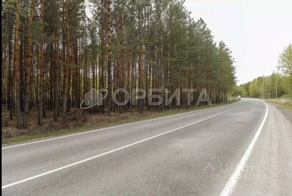 Участок в Тюменская область, Тюменский муниципальный округ, д. Речкина ... - Фото 1