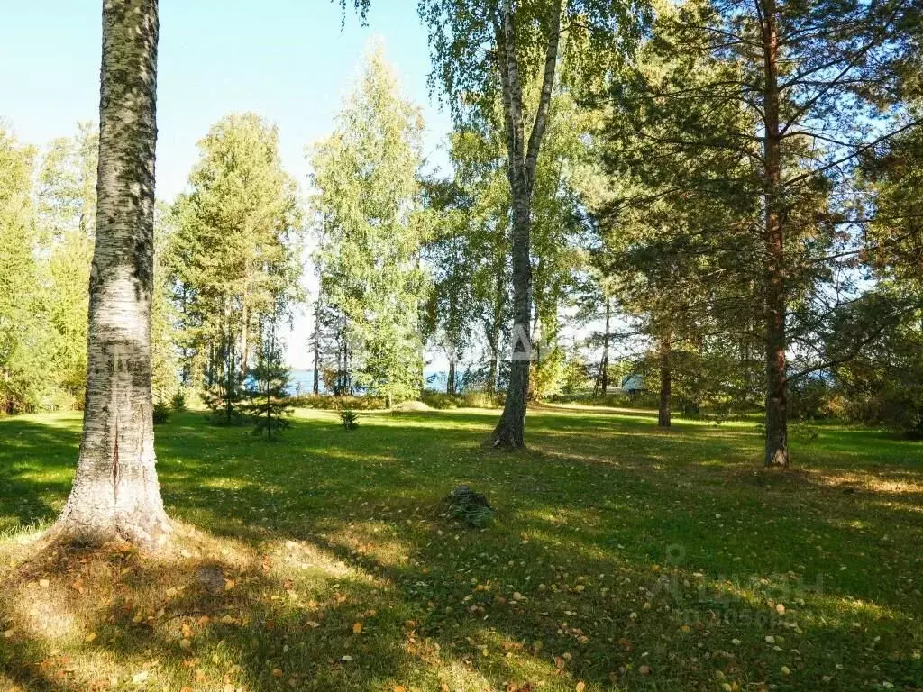 Дом в Карелия, Прионежский район, с. Деревянное ул. Береговая (80 м) - Фото 1