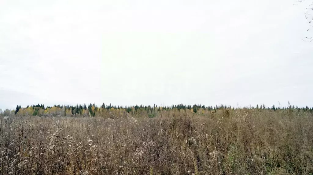 Участок в Свердловская область, Тугулымский муниципальный округ, с. ... - Фото 1