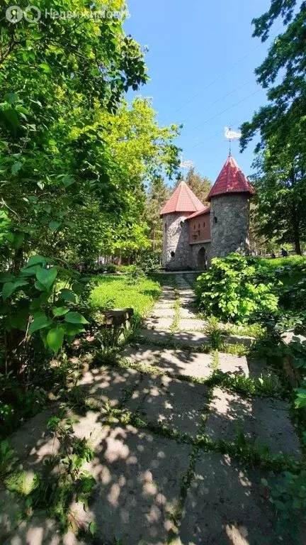 Квартира-студия: Сосновый Бор, Сибирская улица, 2 (17.8 м) - Фото 0