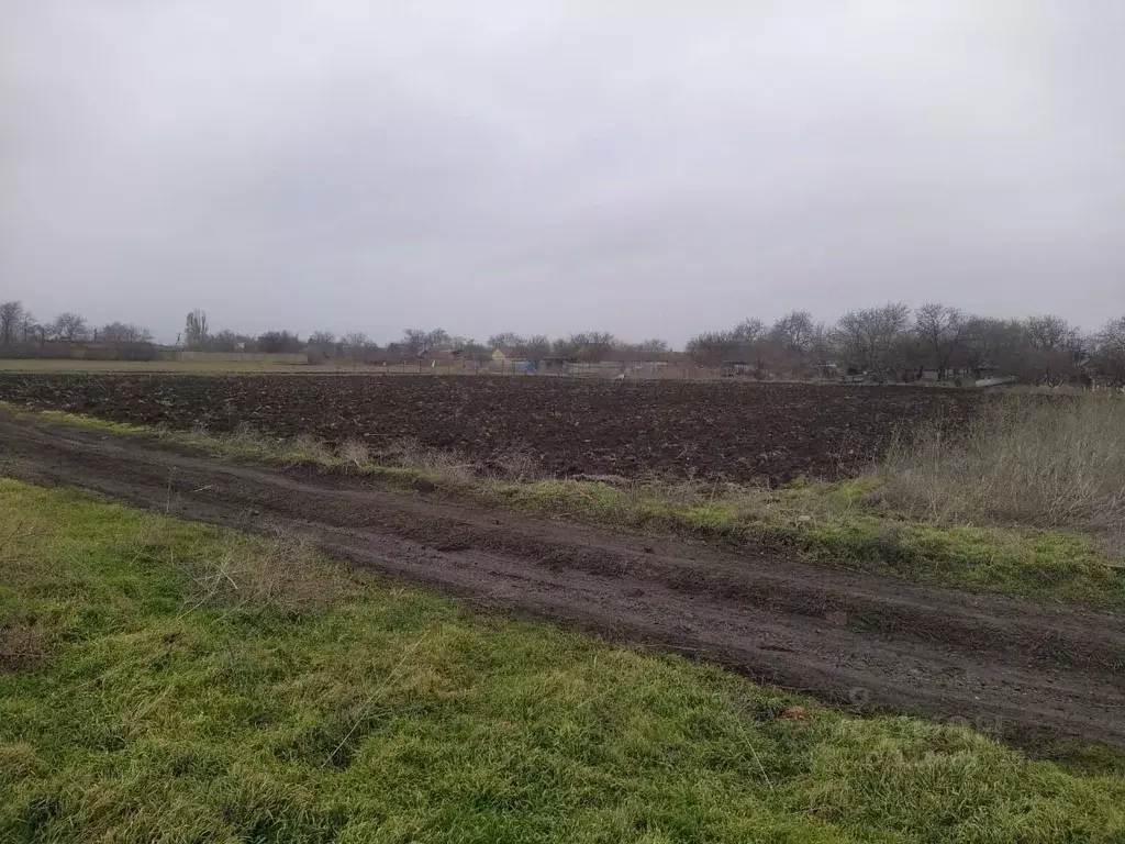 Участок в Краснодарский край, Ейский район, Александровское с/пос, с. ... - Фото 1