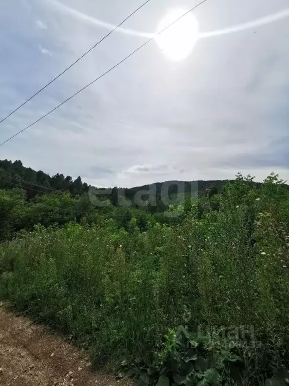Участок в Алтайский край, Белокуриха ул. Угрюмова (15.43 сот.) - Фото 1