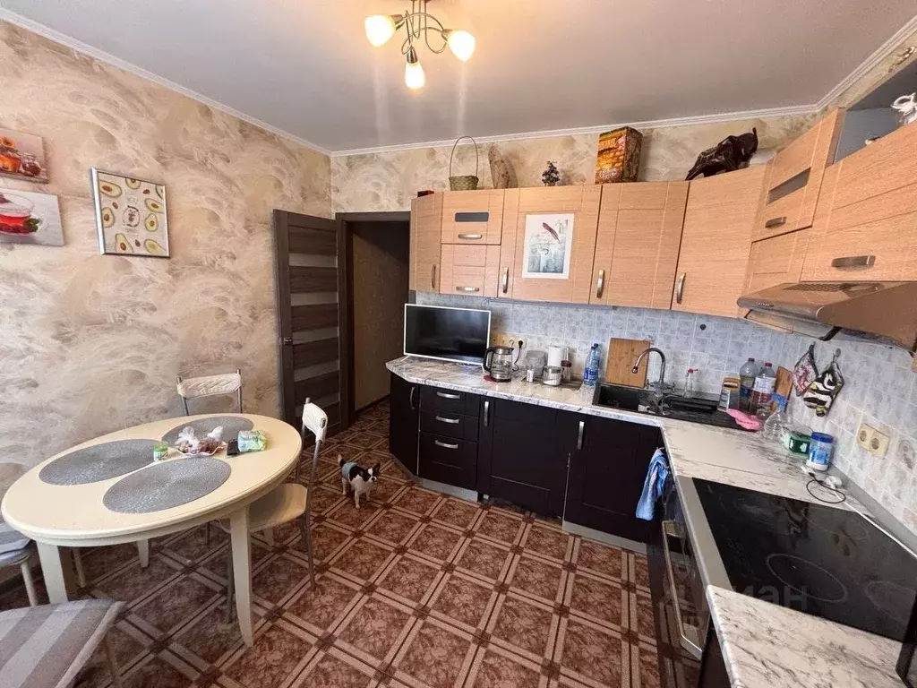 2-к кв. Московская область, Балашиха Ольгино мкр, ул. Главная, 2 (56.0 ... - Фото 2