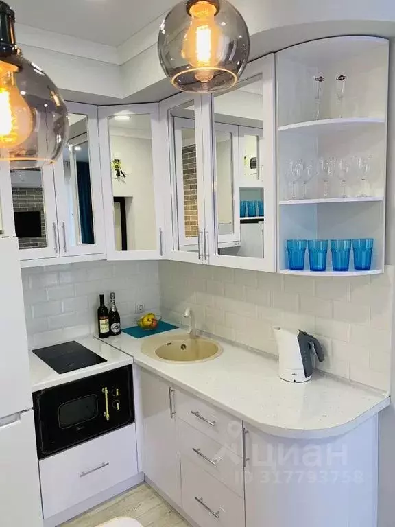 1-к кв. Краснодарский край, Сочи ул. Ленина, 298В/1 (26.0 м) - Фото 1