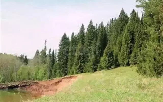 Участок в Пермский край, д. Ложки ул. Ключевая (20.09 сот.) - Фото 0