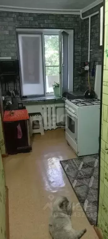 3-к кв. Краснодарский край, Геленджик Красная ул., 8 (40.0 м) - Фото 0
