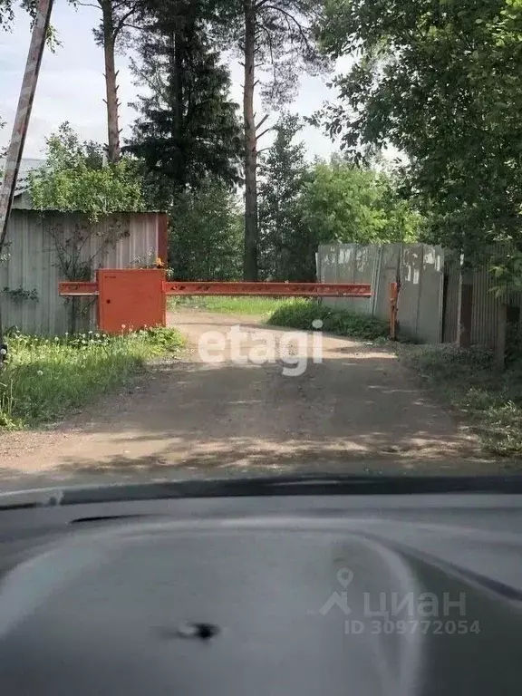 Участок в Ленинградская область, Сертолово Всеволожский район, ... - Фото 0