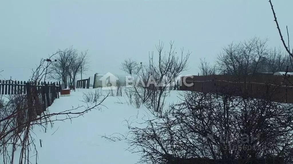 Участок в Владимирская область, Суздальский район, Новоалександровское ... - Фото 0