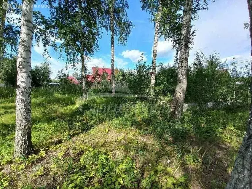 Участок в Тюменский район, деревня Решетникова (15 м) - Фото 0