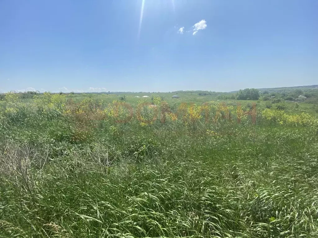 Участок в Ростовская область, Аксайский район, Большой Лог хут. ... - Фото 2