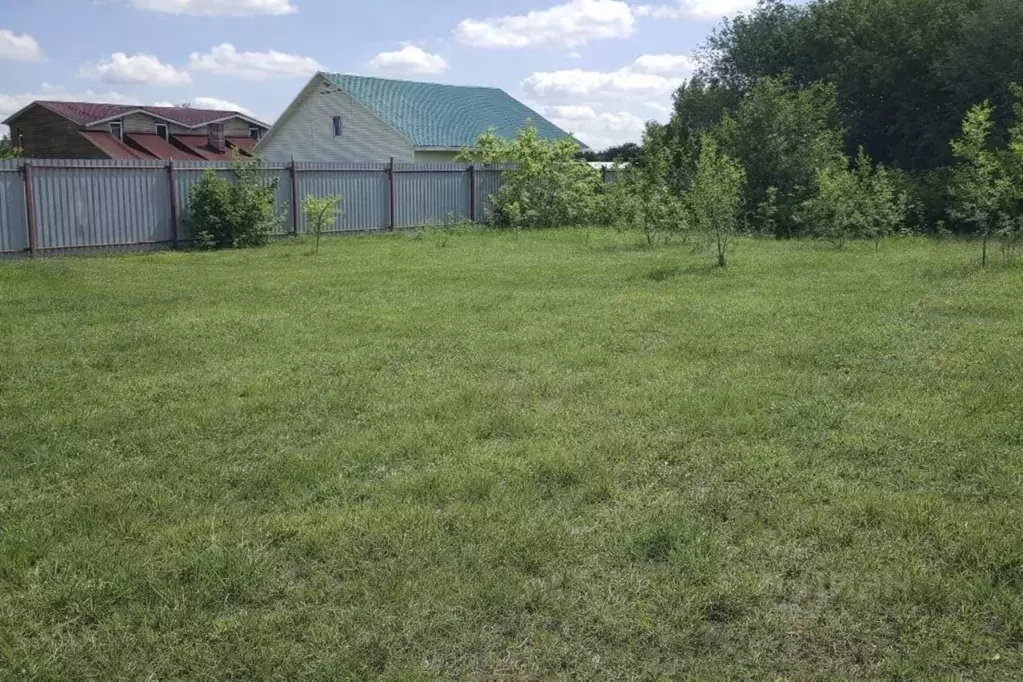 Участок в Самарская область, Красноармейский район, Колывань с/пос, с. ... - Фото 2