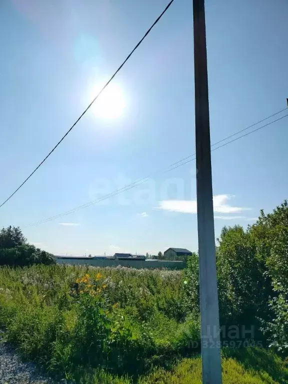 Участок в Тюменская область, Тюмень Садовое товарищество Липовый ... - Фото 1