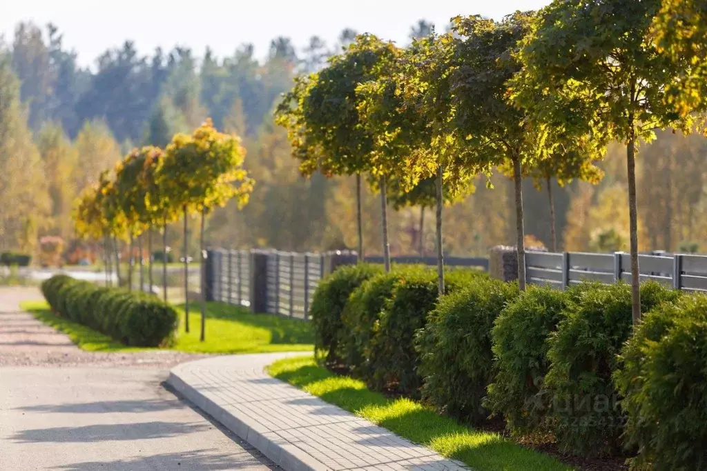 Участок в Ленинградская область, Выборгский район, Первомайское с/пос, ... - Фото 2