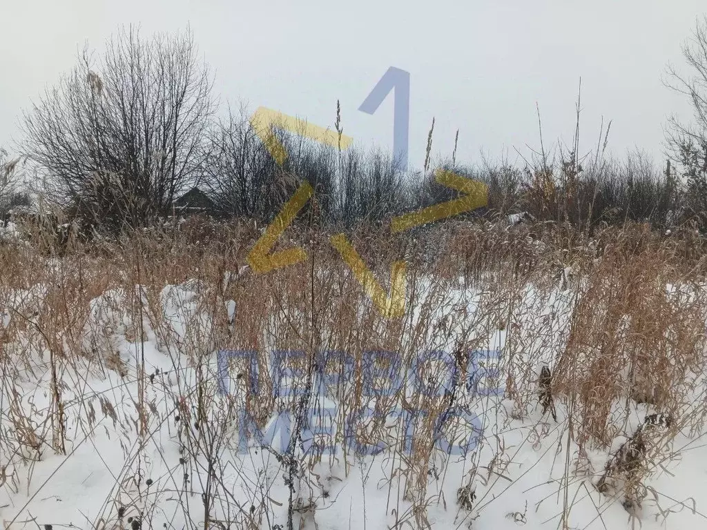 Участок в Башкортостан, Благовещенск № 2 Восход СТ, 77 (4.79 сот.) - Фото 2